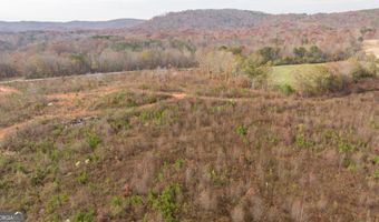 Apple Pie Ridge unit Tract One Tract One, Alto, GA 30510