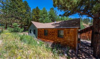 993 Highway 7 Business, Allenspark, CO 80510