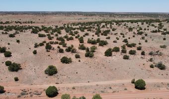 Tbd Rio Ranch, Concho, AZ 85924