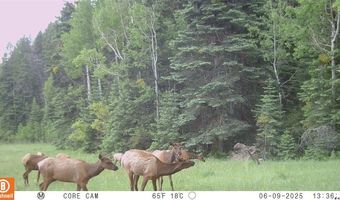 15098 CR 240, Bayfield, CO 81122