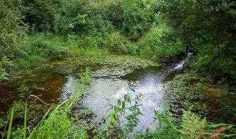 Lot 27 10th Avenue, Adams, WI 53910