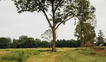 447 County Road 215, Abbeville, MS 38601