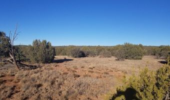 Lot 35 CR 8281, Concho, AZ 85924