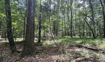 Pine Lodge Road, Batesville, MS 38606