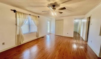 451 County Road 1320, Bardwell, KY 42023