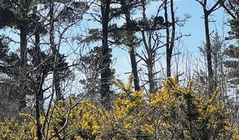 18 Th St SW, Bandon, OR 97411