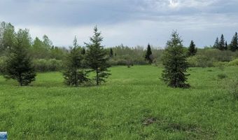Samuelson Road-Sec22, Angora, MN 55703