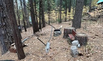 2444 Middle Dr, Arnold, CA 95223