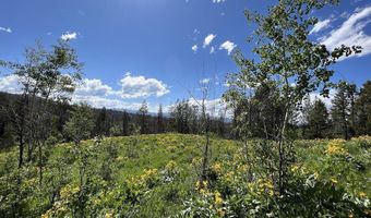 DEER HAVEN 40 AC Road, Bondurant, WY 82922