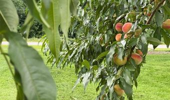 356 Range Rd, Atkinson, ME 04426