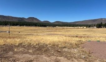 6 County Road 2331, Alpine, AZ 85920