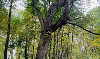 213 Patterson Creek Dr, Alderson, WV 24910