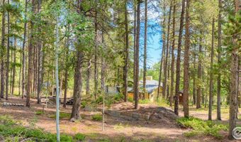 423 Mountain Meadows Dr, Black Hawk, CO 80422