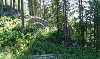 L1 B2 San Ignacio Way lot 1, Cascade, ID 83611