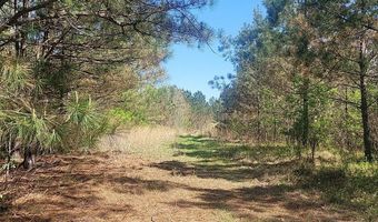 Rutherford Road, Batesville, MS 38606