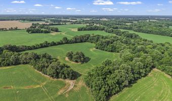 Old Jackson Road, Bells, TN 38006