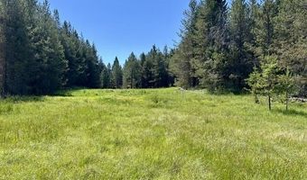 Sky Horse Drive lot 42, Cascade, ID 83611