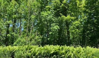 TBD Maple Isle Court Unit 32, Alanson, MI 49706