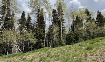 695 W Hunter Ridge Rd, Brian Head, UT 84719