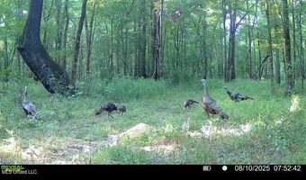 1 Champion Hill Rd, Bolton, MS 39041