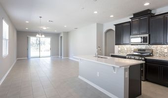 357 Lady Palm St, Apopka, FL 32703