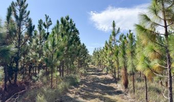 100 Doc Hunter Rd, Baxley, GA 31513