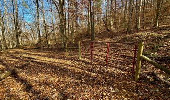1520 Brittontown Rd, Afton, TN 37616