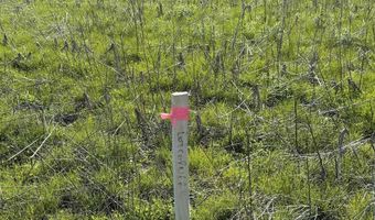 EAU CLAIRE RIVER ROAD lot 3, Aniwa, WI 54408