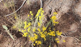 912 Westwood Rnch, Ash Fork, AZ 86320