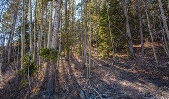 421 N Aspen St, Alma, CO 80420