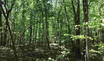 SHOAL CREST DRIVE lot 1 And 2, Ashville, AL 35953