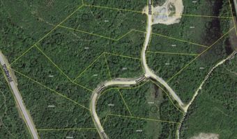 Loon Road, Berlin, NH 03570