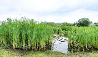 92 Derby St, Brighton, VT 05846