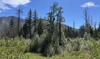Blue River Dr, Blue River, OR 97413