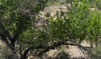Carp Road, Caliente, NV 89008