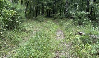 S Hwy 221, Adrian, GA 31002