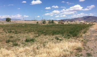 1075 Browne Ln, Fernley, NV 89408