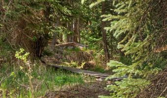 26608 Frying Pan Rd, Basalt, CO 81642