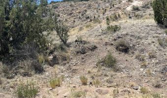 Round Mountain Rd 40 acres, Bent, NM 88314