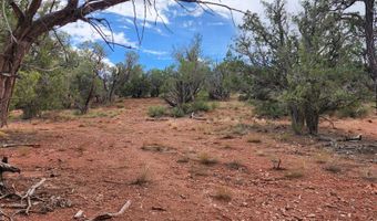 488 B & C Scorpion, Ash Fork, AZ 86320