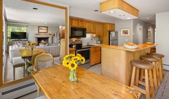 728 S Galena St 202-B, Aspen, CO 81611