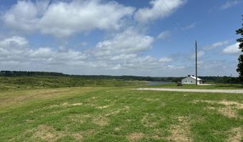 0 Otis Paine Rd, Bethel Springs, TN 38315