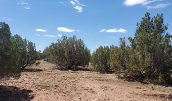 17 County Road 8077, Concho, AZ 85924