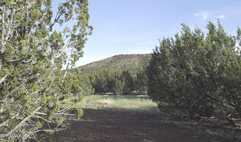 13378 Bowdar Rd, Williams, AZ 86046