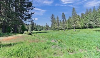 1801 Pine Dr, Arnold, CA 95223
