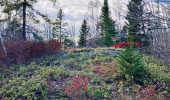 W McMann & Porcupine Hill Road lot 3, Addison, ME 04606