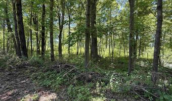 ARROWHEAD ROAD lot 16, Amherst Junction, WI 54407