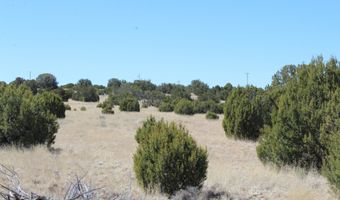 80 County Road 8620, Concho, AZ 85924