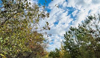 644 Ash-Harrel Loop, Abbeville, GA 31001