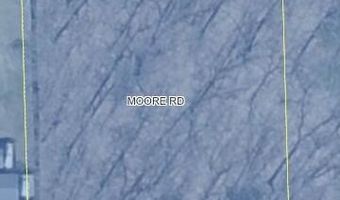 Moore Road lot 212, Allegan, MI 49010